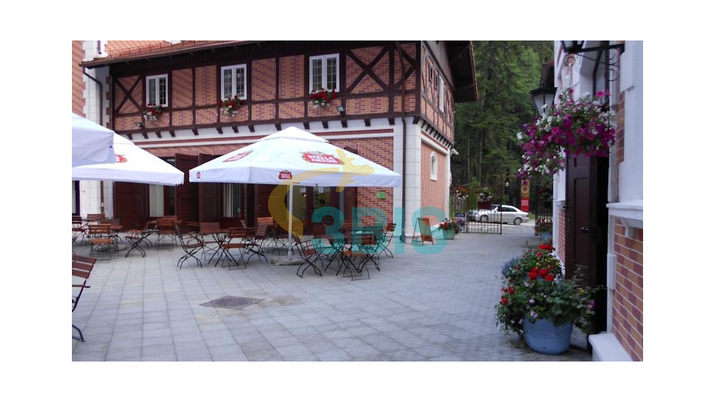 Hotel Bastion din Sinaia Oferte și tarife. Birou de Rezervari. Calculează-ți oferta singur, in 2 minute!