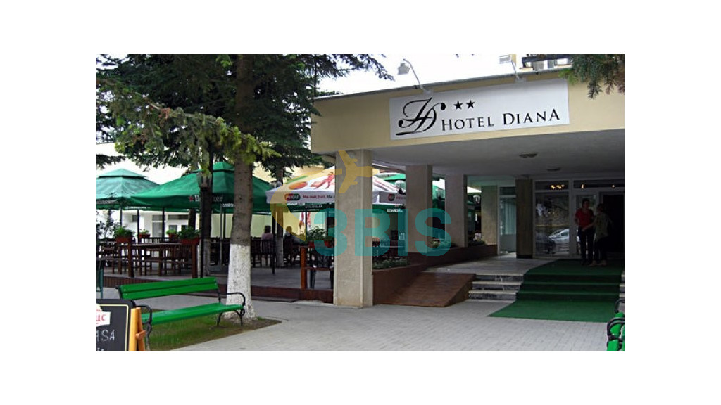 Hotel Diana din Geoagiu-Bai Oferte și tarife. Birou de Rezervari. Calculează-ți oferta singur, in 2 minute!