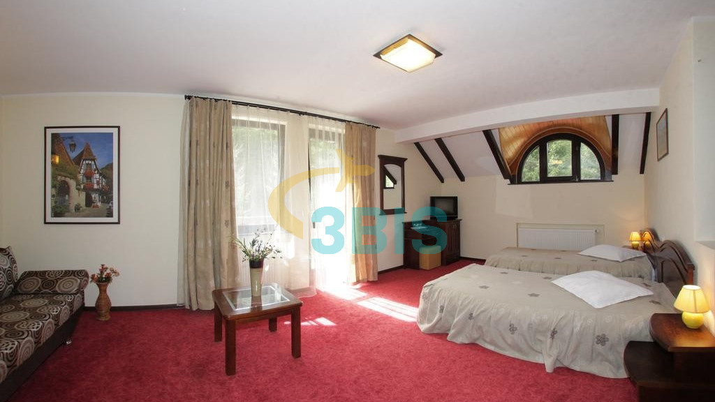 Hotel Victoria din Borsa Oferte și tarife. Birou de Rezervari. Calculează-ți oferta singur, in 2 minute!