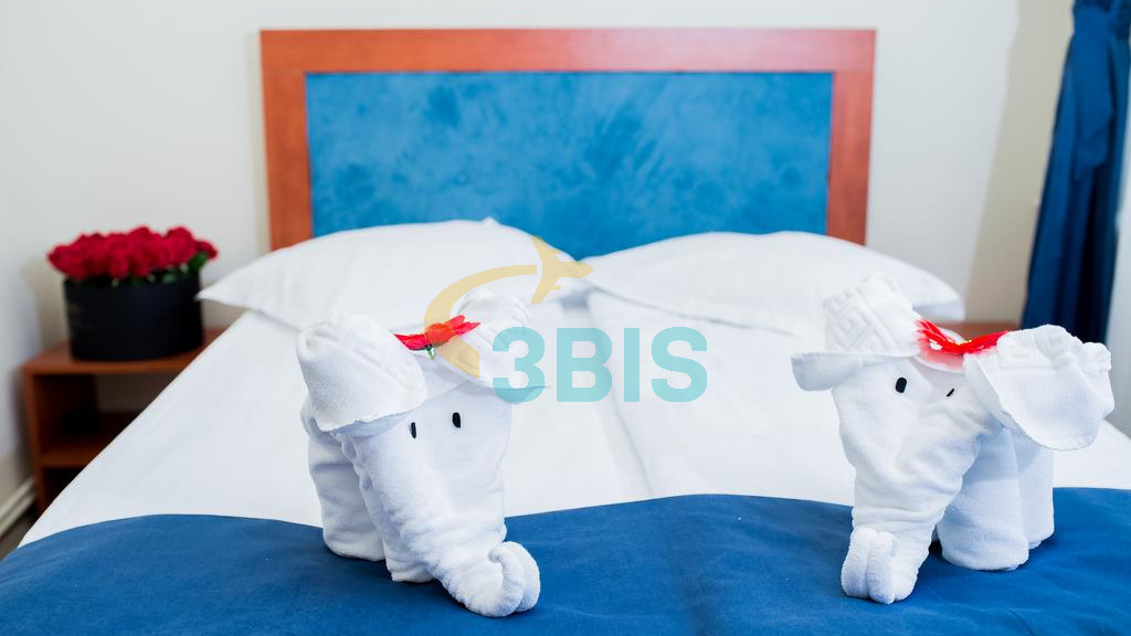 Hotel Pin din Azuga Oferte și tarife. Birou de Rezervari. Calculează-ți oferta singur, in 2 minute!