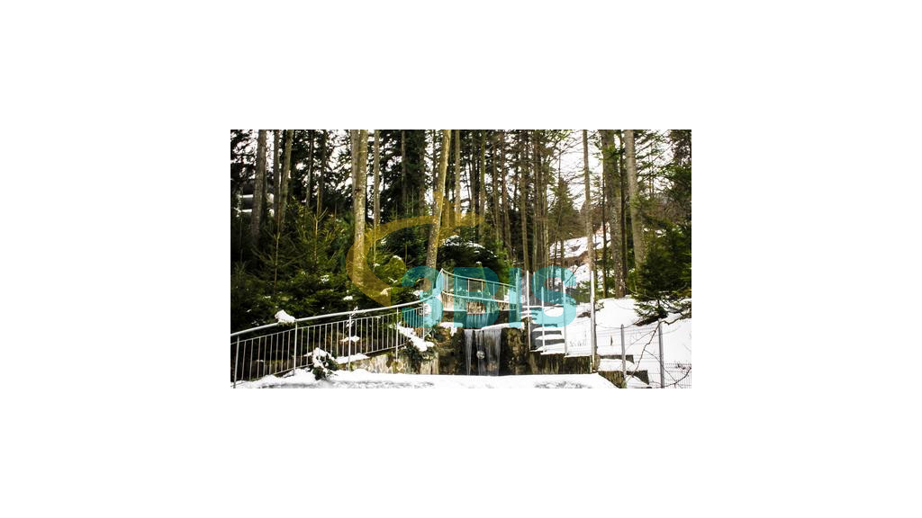Hotel Smart din Sinaia Oferte și tarife. Birou de Rezervari. Calculează-ți oferta singur, in 2 minute!