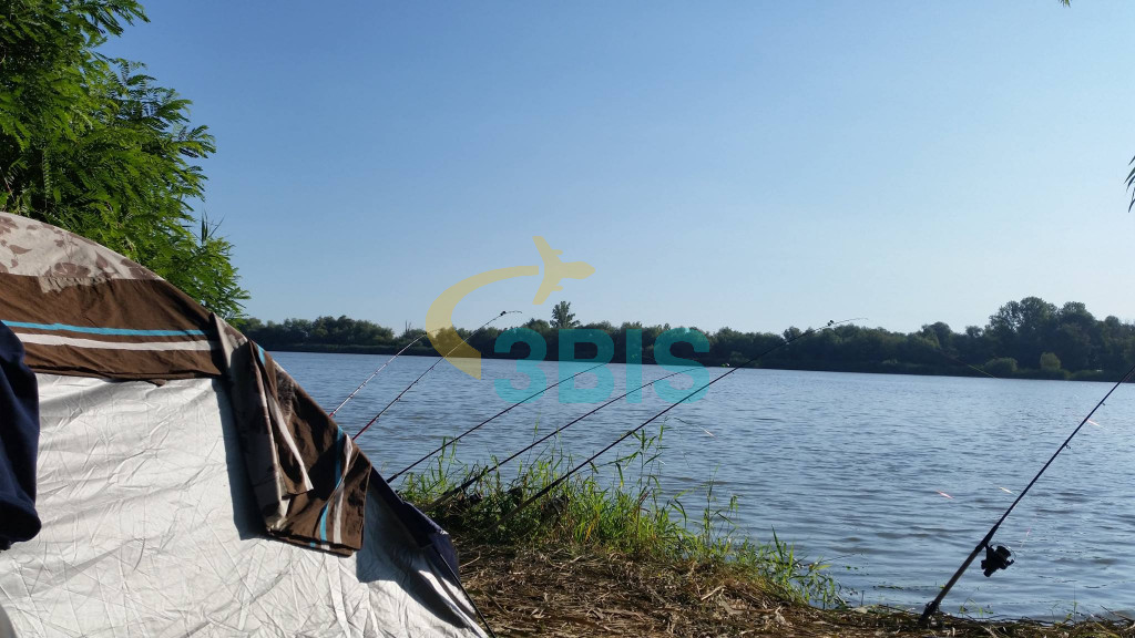 Pensiune Gigant Fish din Delta Dunarii Oferte și tarife. Birou de Rezervari. Calculează-ți oferta singur, in 2 minute!