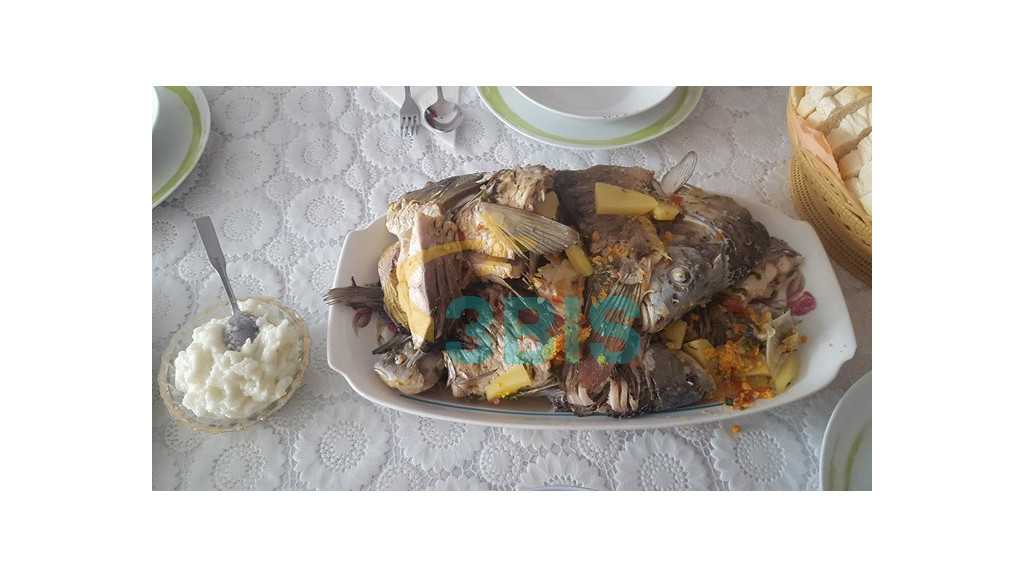 Pensiune Gigant Fish din Delta Dunarii Oferte și tarife. Birou de Rezervari. Calculează-ți oferta singur, in 2 minute!
