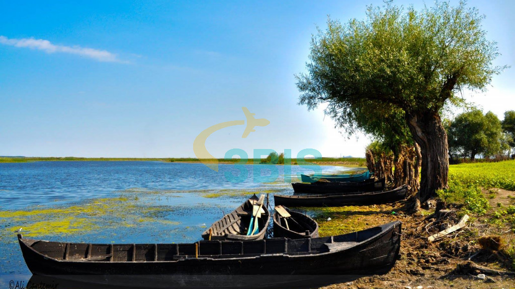 Pensiune Gigant Fish din Delta Dunarii Oferte și tarife. Birou de Rezervari. Calculează-ți oferta singur, in 2 minute!