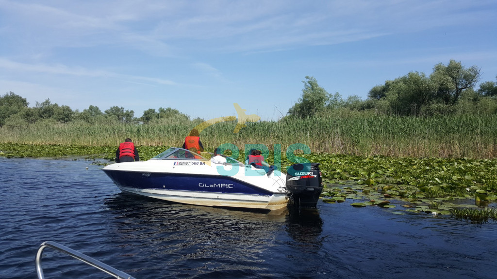 Pensiune Gigant Fish din Delta Dunarii Oferte și tarife. Birou de Rezervari. Calculează-ți oferta singur, in 2 minute!