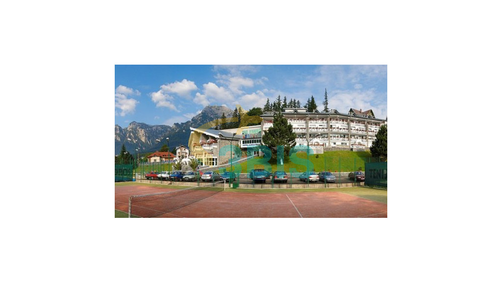 Hotel Alexandros  din Busteni Oferte și tarife. Birou de Rezervari. Calculează-ți oferta singur, in 2 minute!