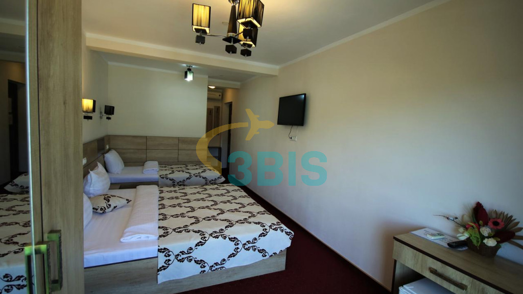 Pensiune Danubia din Orsova Oferte și tarife. Birou de Rezervari. Calculează-ți oferta singur, in 2 minute!