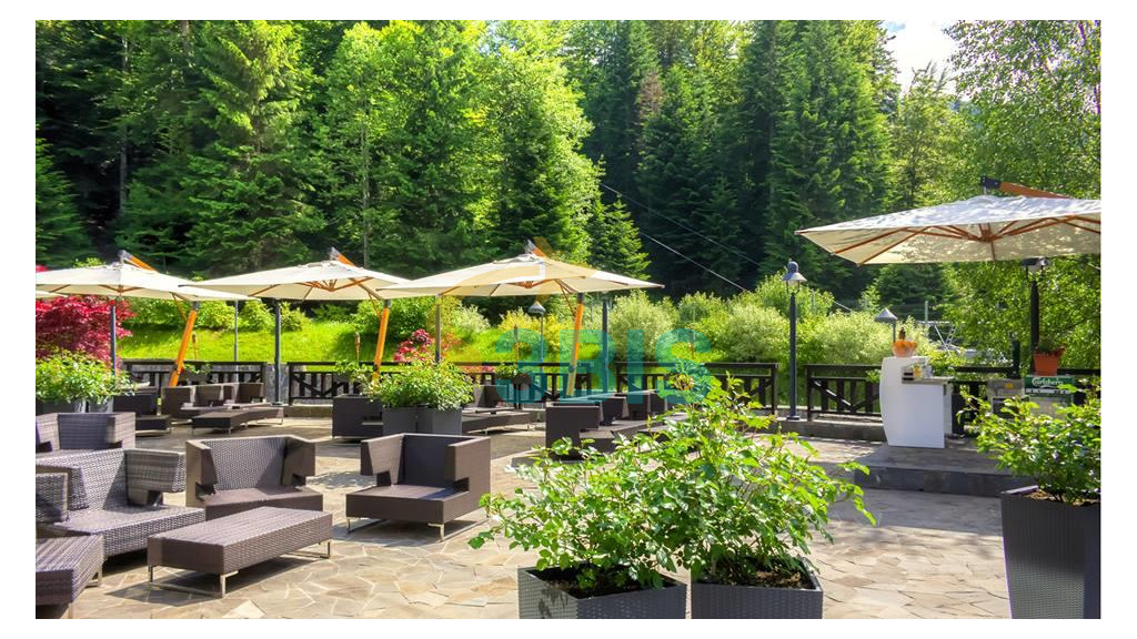 Hotel Lux Garden din Azuga Oferte și tarife. Birou de Rezervari. Calculează-ți oferta singur, in 2 minute!