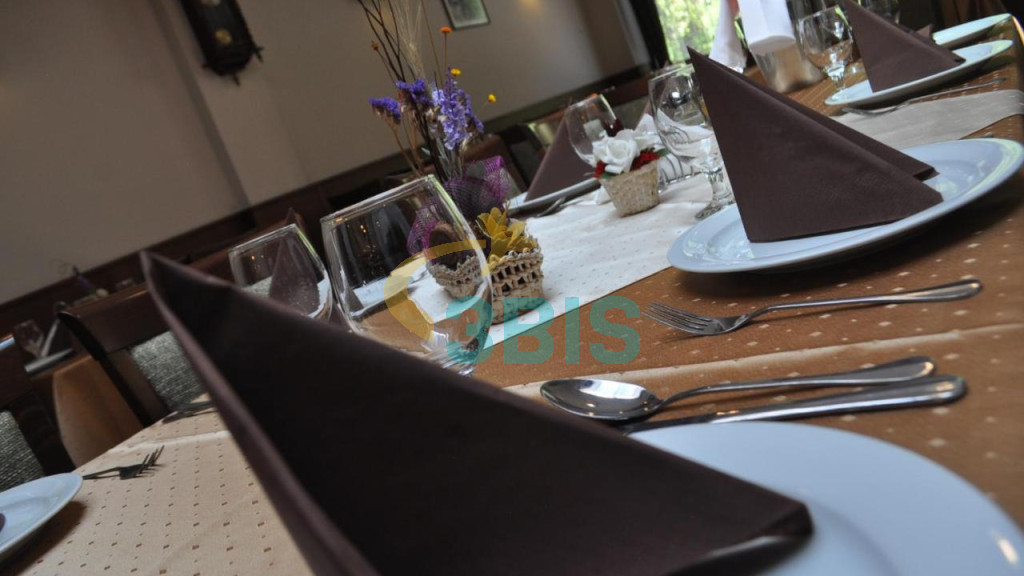 Hotel Muresul din Sovata Oferte și tarife. Birou de Rezervari. Calculează-ți oferta singur, in 2 minute!