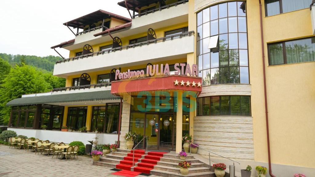 Pensiune Iulia Star din Baile Olanesti Oferte și tarife. Birou de Rezervari. Calculează-ți oferta singur, in 2 minute!