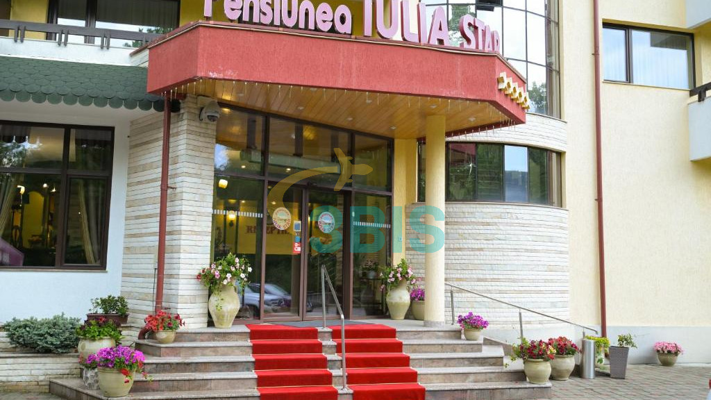 Pensiune Iulia Star din Baile Olanesti Oferte și tarife. Birou de Rezervari. Calculează-ți oferta singur, in 2 minute!