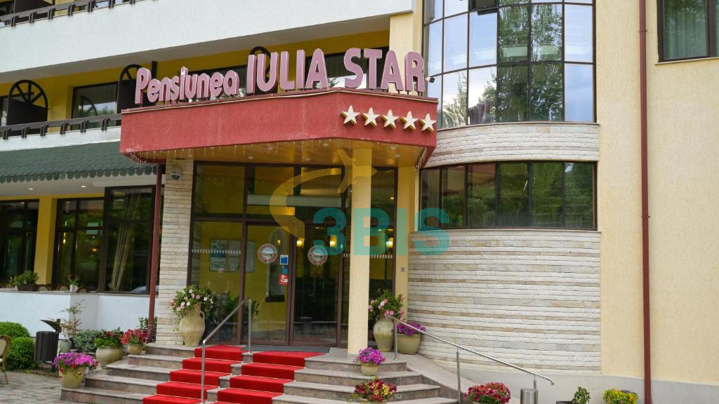 Pensiune Iulia Star din Baile Olanesti Oferte și tarife. Birou de Rezervari. Calculează-ți oferta singur, in 2 minute!