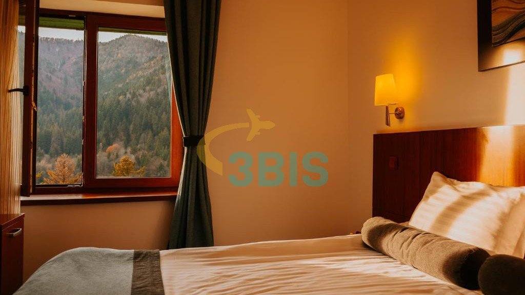Hotel Ozone din Baile Tusnad Oferte și tarife. Birou de Rezervari. Calculează-ți oferta singur, in 2 minute!