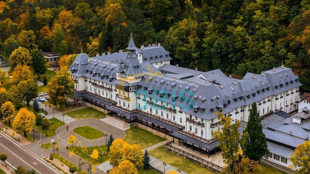 Hotel Central din Calimanesti-Caciulata Oferte și tarife. Birou de Rezervari. Calculează-ți oferta singur, in 2 minute!