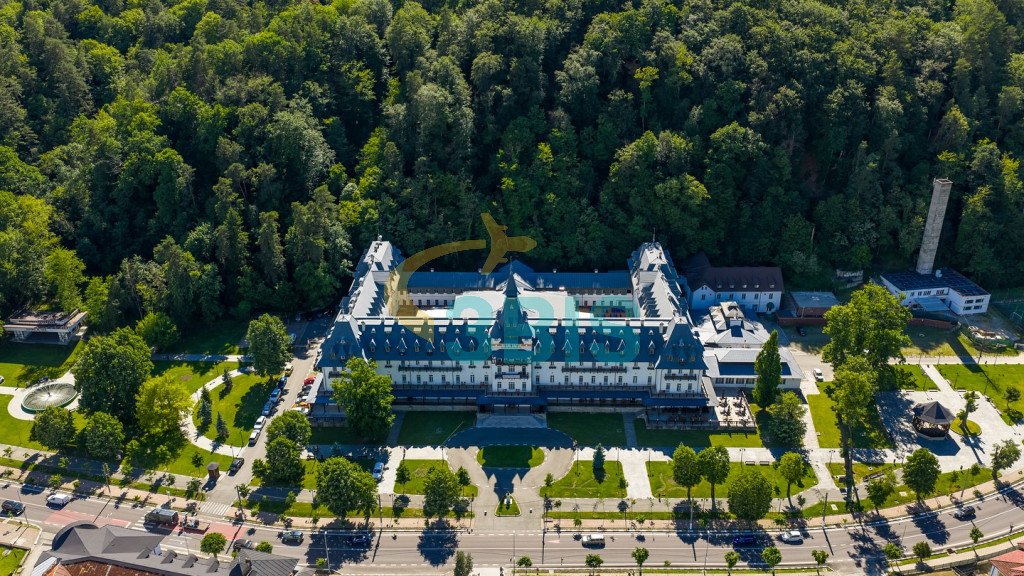 Hotel Central din Calimanesti-Caciulata Oferte și tarife. Birou de Rezervari. Calculează-ți oferta singur, in 2 minute!