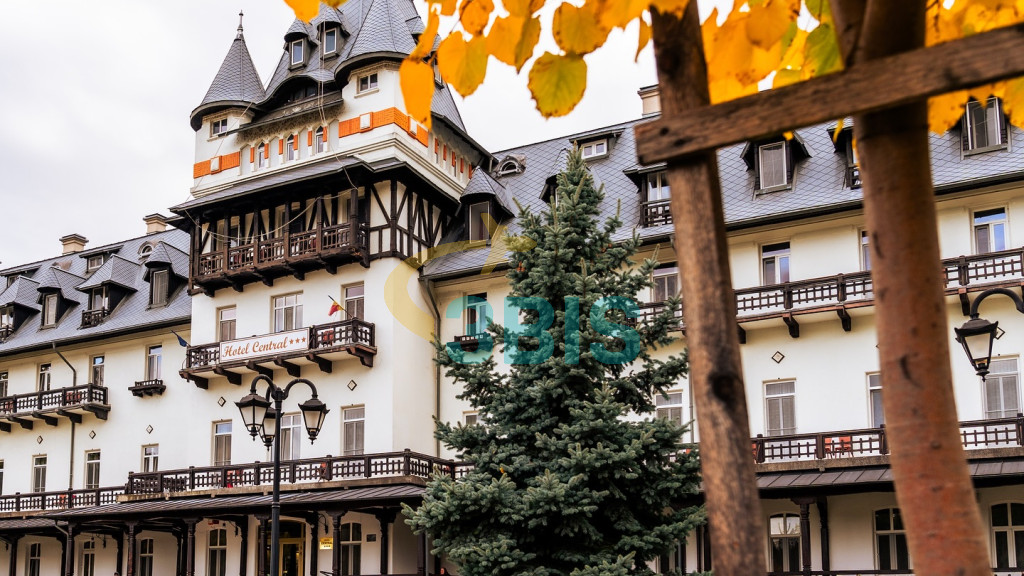 Hotel Central din Calimanesti-Caciulata Oferte și tarife. Birou de Rezervari. Calculează-ți oferta singur, in 2 minute!