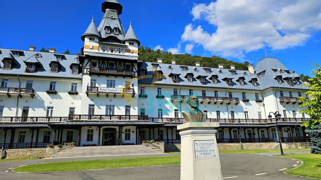 Hotel Central din Calimanesti-Caciulata Oferte și tarife. Birou de Rezervari. Calculează-ți oferta singur, in 2 minute!