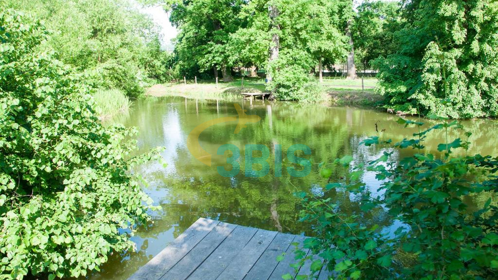 Hotel President din Baile Felix Oferte și tarife. Birou de Rezervari. Calculează-ți oferta singur, in 2 minute!