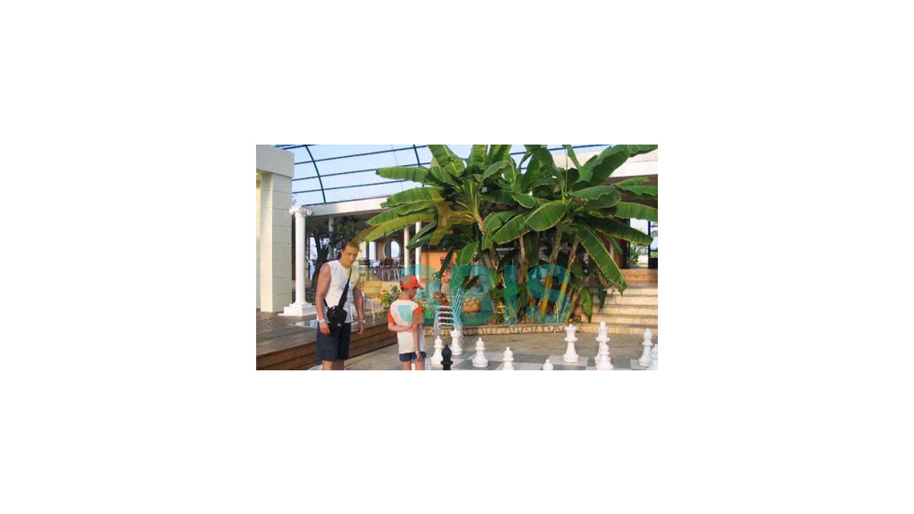 Hotel ARISTOTELES BEACH HOTEL - AFITOS, KASSANDRA din Kasandra. Oferte și tarife. Birou de Rezervari. Calculează-ți oferta singur, in 2 minute!