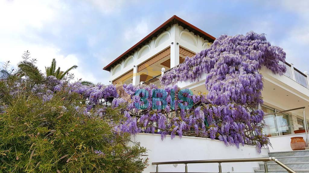 Hotel ALEXANDROS PALACE - OURANOPOLIS din Athos Oferte și tarife. Birou de Rezervari. Calculează-ți oferta singur, in 2 minute!