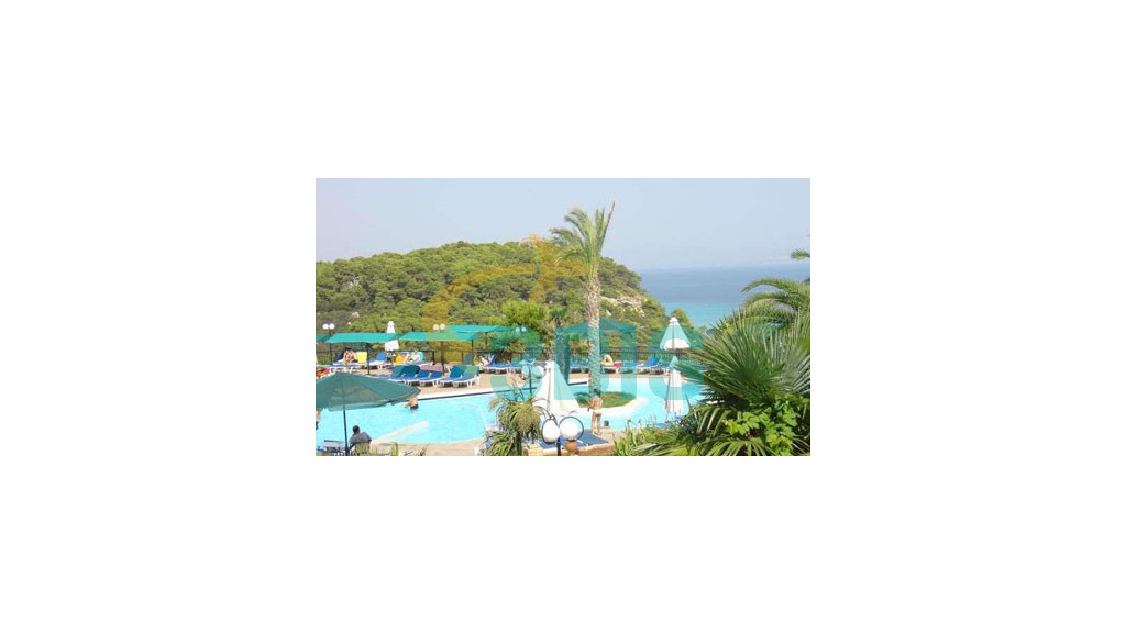 Hotel ARISTOTELES BEACH HOTEL - AFITOS, KASSANDRA din Kasandra. Oferte și tarife. Birou de Rezervari. Calculează-ți oferta singur, in 2 minute!