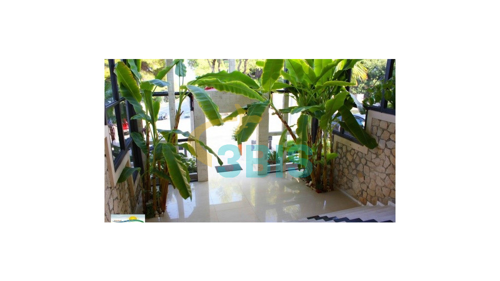Hotel ARISTOTELES BEACH HOTEL - AFITOS, KASSANDRA din Kasandra. Oferte și tarife. Birou de Rezervari. Calculează-ți oferta singur, in 2 minute!
