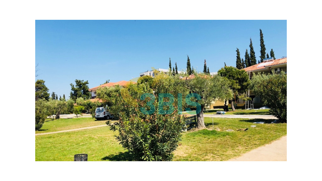 Hotel SITHONIA VILLAGE HOTEL din Gerakini Oferte și tarife. Birou de Rezervari. Calculează-ți oferta singur, in 2 minute!