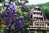 Pensiune Casa Vanatorilor