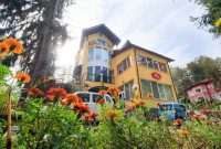 Hotel Alice