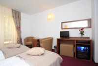 Hotel Domnitei