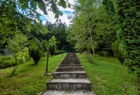 Hotel Tisa 