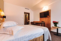 Hotel Domnitei