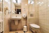 Hotel Domnitei