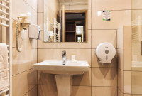 Hotel Domnitei