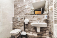 Hotel Domnitei