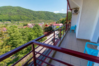 Hotel Orizont Cozia