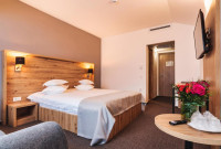 Hotel Domnitei