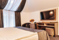 Hotel Domnitei