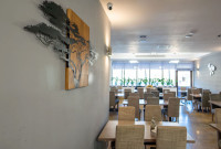 Hotel Tisa 