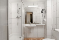 Hotel Oltul 