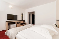 Hotel Cozia