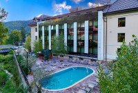 SINGLE STANDARD / 1 ADULT + mic dejun bufet suedez + acces gratuit piscina termala exterioara