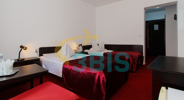 Hotel Cozia