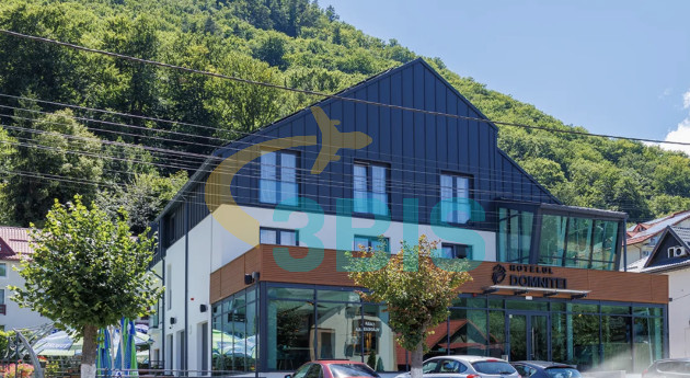 Hotel Domnitei