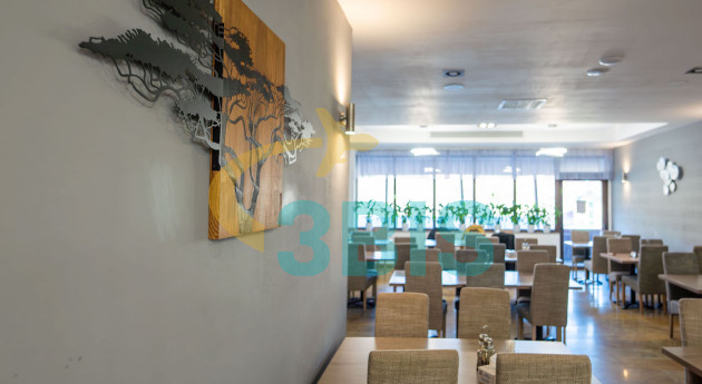 Hotel Tisa 